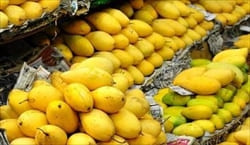 mango、マンゴー、モーラミャイン・トラベル・インフォメーション、写真